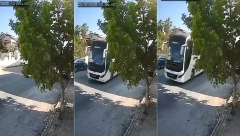 Yolda Yatan Köpeği Ezip Giden Sürücü, Sayfa Sayfa Tartışma Yarattı