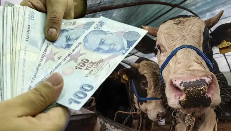 Kurban Bayramında Emekli ve Memur Maaşları Ne Zaman Yatacak?