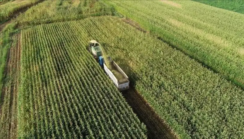 Mart 2025 Mazot ve Gübre Desteği Ödemeleri İçin Son Gelişmeler