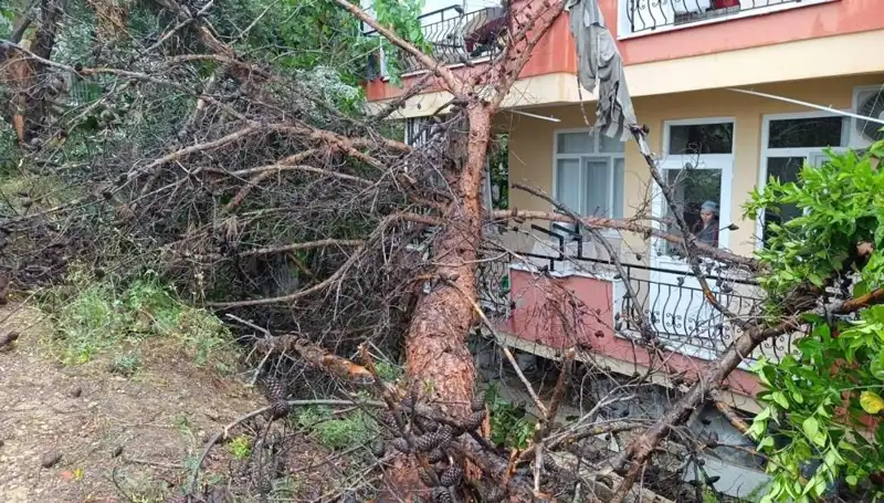 Yağmur Yüküyle Taşan Yapı, Aniden Yıkıldı: Yaşananlar