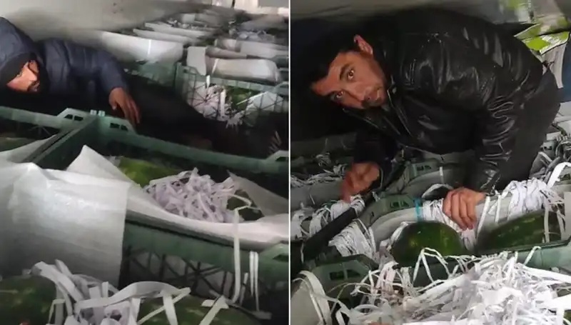 Karpuzların İçinden Çıkan Sürpriz: Göçmenlerin Hikayesi