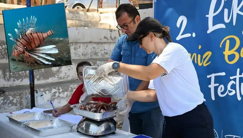Antalya'da İstilacı Aslan Balığı İçin Yapılacak Yarışma Dikkatleri Üzerine Topladı