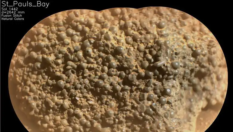 Mars'ta Gizemli "Örümcek Yumurtaları" Keşfi: Uzayda Neler Oluyor?