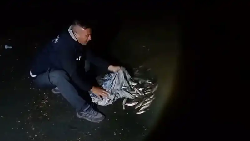 İnci Kefali Avında Rekor Kırıldı: Bir Ton Balık Yakalandı!