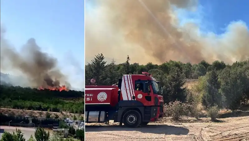 Gebze’de Orman Yangını: Doğa ve Hayat Tehdit Altında!