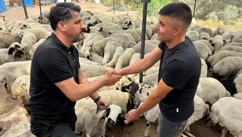 Kurbanlık Alırken Dikkat Edilmesi Gerekenler: Tuz ve Sumak Hileleri