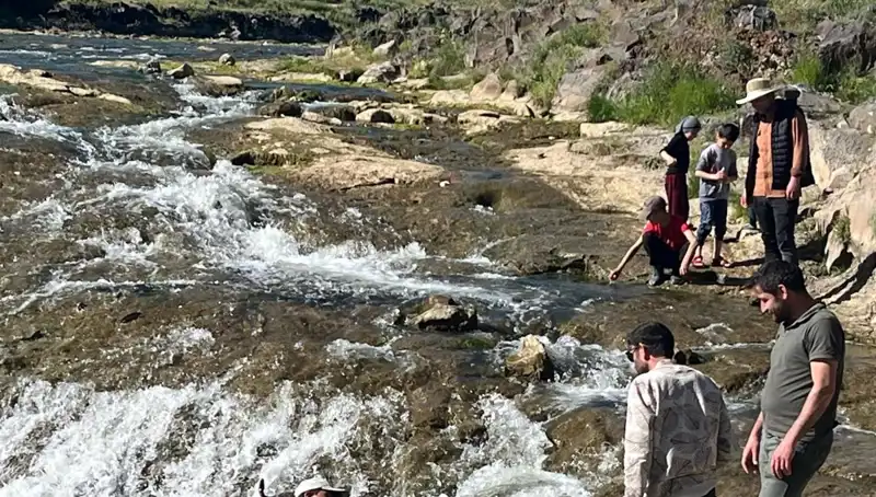 İnci Kefali Göçü: Doğanın Harikası Binlerce Turisti Büyülüyor
