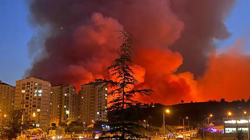 Bursa'da Yangın Alarmı: Şehirdeki Alevler Korku Saçıyor!