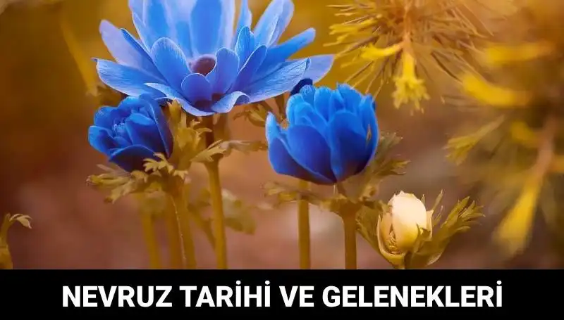 Nevruz Bayramı: Tarihi, Kutlama Gelenekleri ve Anlamı Nedir?