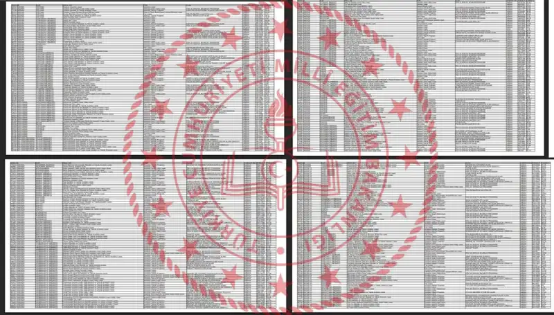 2025 Lise Taban Puanları Açıklandı: Hangi Liseye Hangi Puanla Girilir?