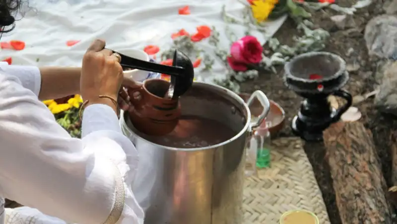 Ayahuasca Çayı: Gizemi ve Yasal Durumu Hakkında Bilmeniz Gerekenler