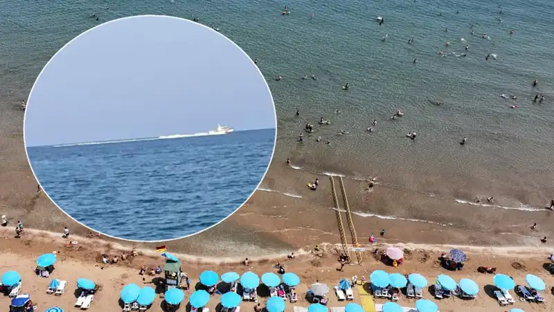 Plajda Köpek Balığı Korkusu: Gerçekten Neler Oluyor?