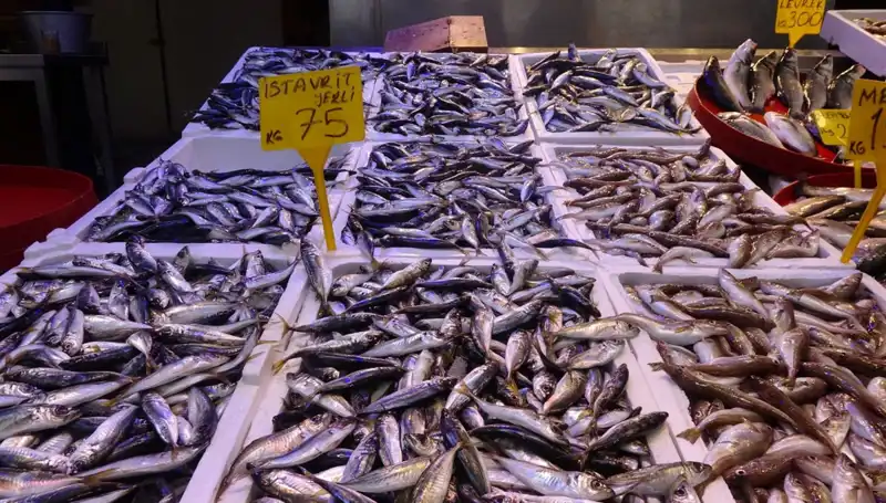 Sonbaharda Balık Avı: Sezonun Kapanışı ve Hedefler
