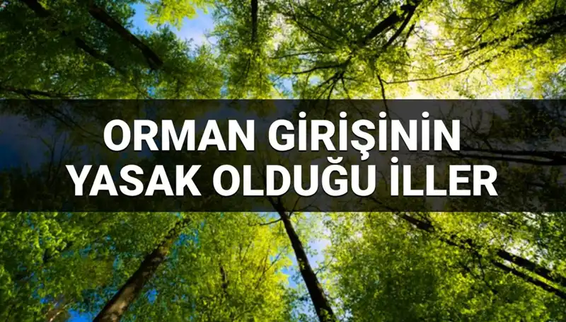 2025'te Ormana Girmesi Yasaklanan İller: Hangi İllerde Dikkat Edilmeli?