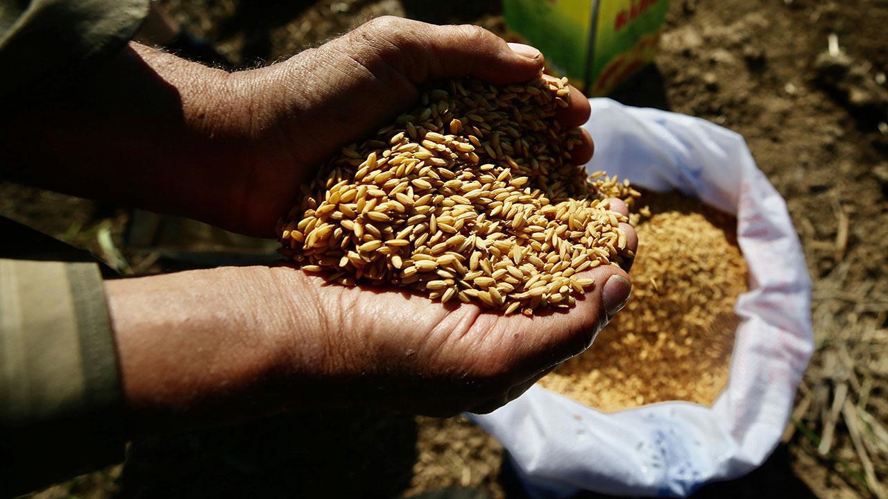 Ata Tohumları Artık Tarım Kredi Marketlerinde