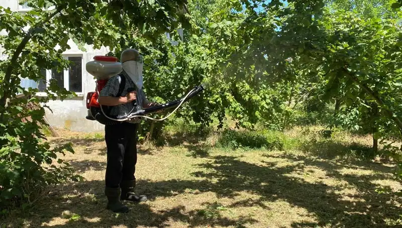 Çiftçinin Umudu: Kükürt ve Samuray Arısı ile Tarımda Yeni Bir Dönem