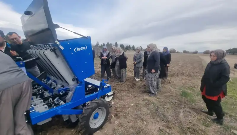 Domaniç'te Ata Tohumu Sarımsak Projesi ile Geleneksel Tarım Canlanıyor