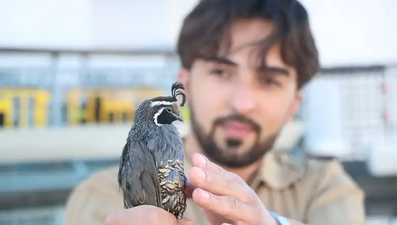 ABD'den Sipariş Üstüne Sipariş! Üniversiteli Genç Çiftlik Kurdu ve İhraç Ediyor
