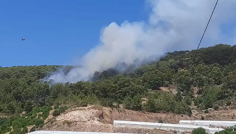 Kumluca’da Patlayan Orman Yangını: Yerel Halk ve Doğa Zarar Görüyor