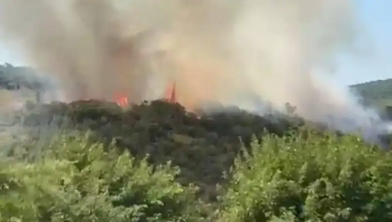 İstanbul'da Sıcak Hava Dalgası ile Orman Yangınları Artıyor