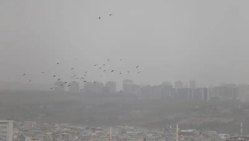 Şanlıurfa'da Toz Fırtınası: Kent Her Yeri Kapladı, Vatandaşlar Tedirgin!