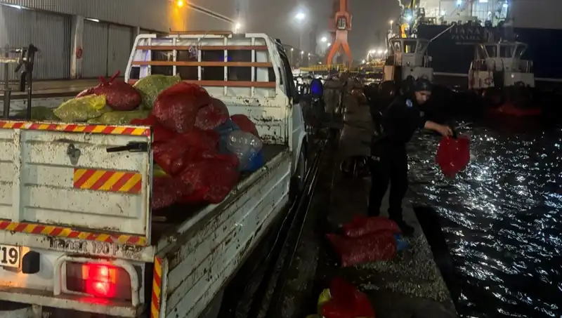 Kaçak Midye Operasyonu: Avcılar Elinde 2 Ton Midye Yakalandı!