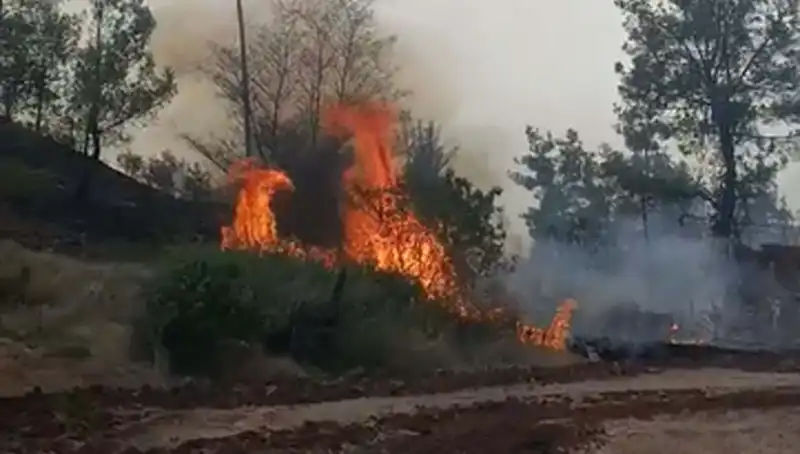 Denizli'de Yangın Felaketi: 7 Hektar Orman Alev Alev Yandı