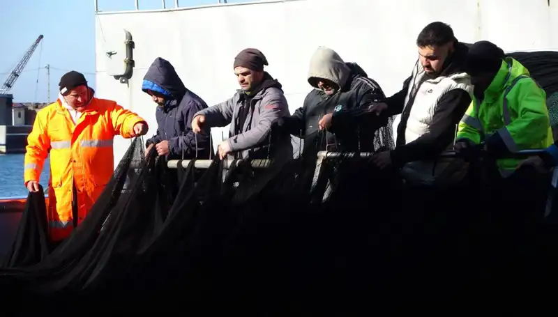 ** Denizlerde Hamsi Krizi: Tekneler Erken Paydos Ediyor!**