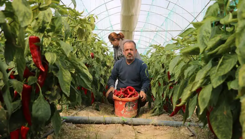 Fiyatı 50 TL’den 80 TL’ye Çıkan Üründe Şok Artış!