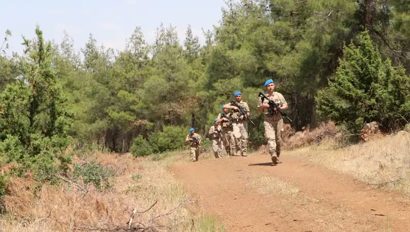 Kilis’te Orman Yangınları İçin Çarpıcı Denetim Sonuçları Açıklandı