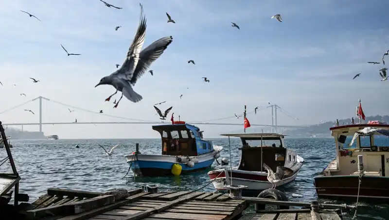 İstanbul'da Baharın İlk Belirtileri: Hava Durumu Tarihine Dikkat!