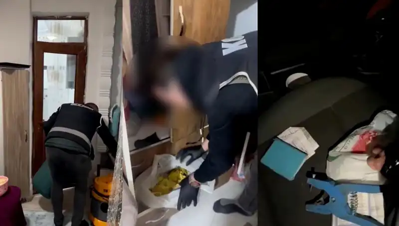 Hayvan Sevk Belgesi Usulsüzlüğü: Operasyonda Dokuz Gözaltı Gerçekleşti!