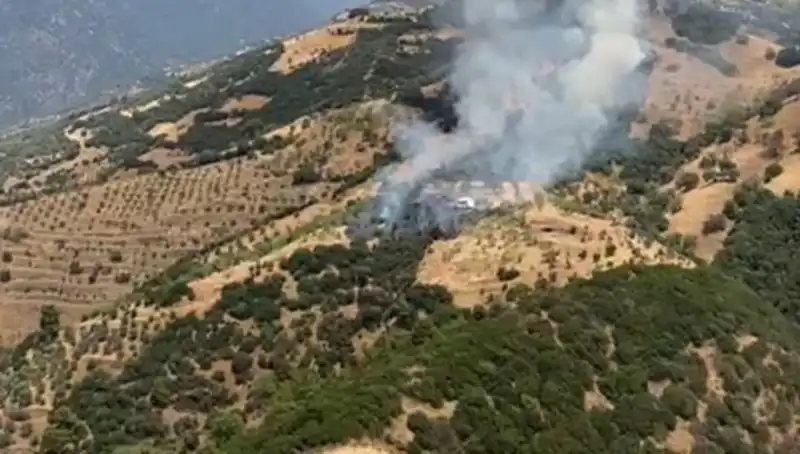 Aydın’da Zeytinlikler Alev Alev: Yangının Sebebi ve Etkileri