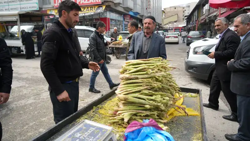 Şekerin Şifalı Gücü: Kanser ve Mide Hastalıklarına Çözüm Olabilir!