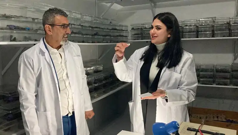 Akrep Zehri ile Şeker: Ceşitli Tatlar ve Beklenmedik Sağlık Faydaları