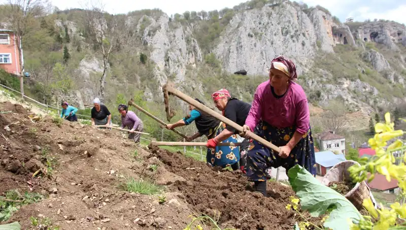 Zorlu Mesai Başladı: Sırtlarında Sepetler, Ellerinde Kazmalarla Çalışanlar