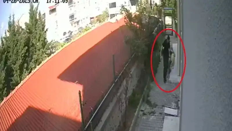 Sahiplendiği Köpekleri Evde Katletti! Doktorun Şok Edici Suçları Gündemde