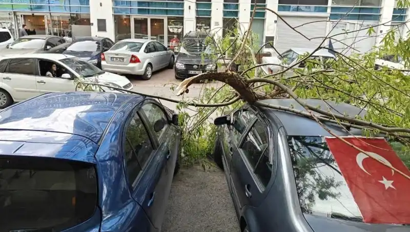 Kayseri’yi Vuran Dallar Kıran Fırtına: Şehirde Hayat Nasıldı?