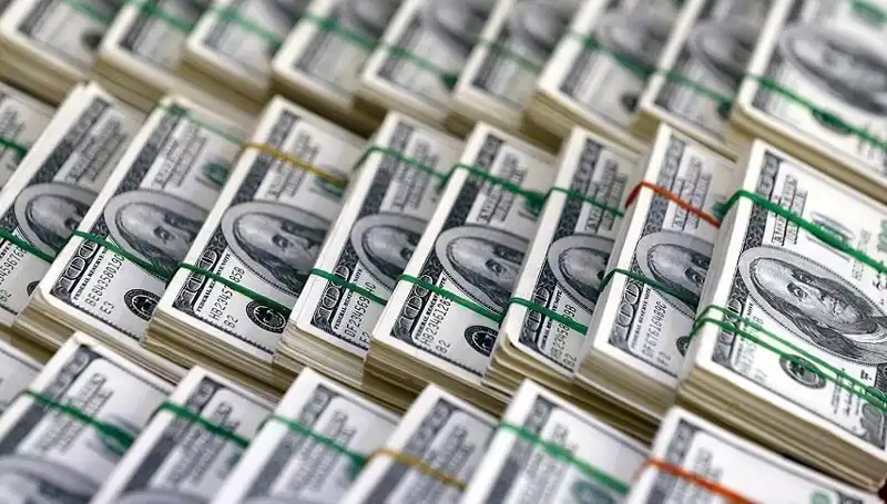Doların Hızla Yükselmesi: Uzmanlardan Şaşırtan Uyarılar!