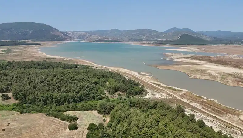 İzmir'de Tehlike Çanları: Geçen Yıla Göre Yüzde 50 Düşüş!