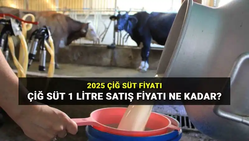 2025'te Çiğ Süt Fiyatları: Ulusal Süt Konseyi’nin Son Verileri Açıklandı
