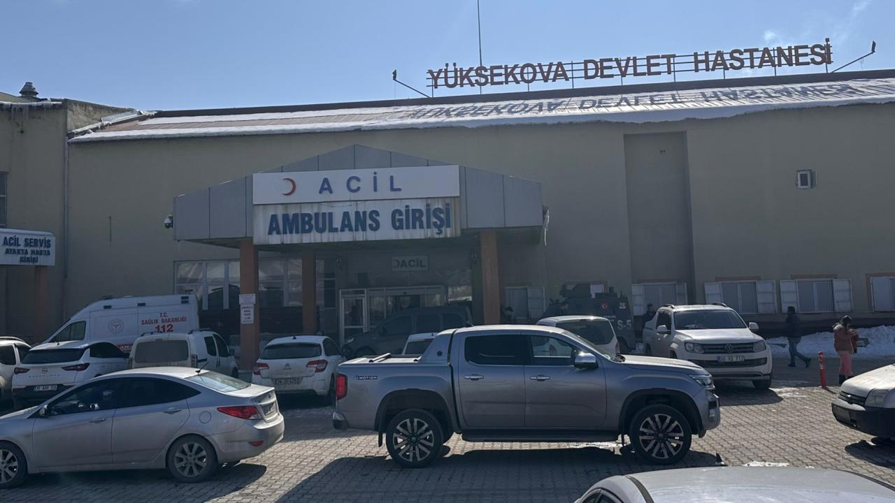 Başıboş köpeklerin saldırısı sonucu hayatını kaybeden çocuğun ölümüyle ilgili soruşturma başlatıldı.