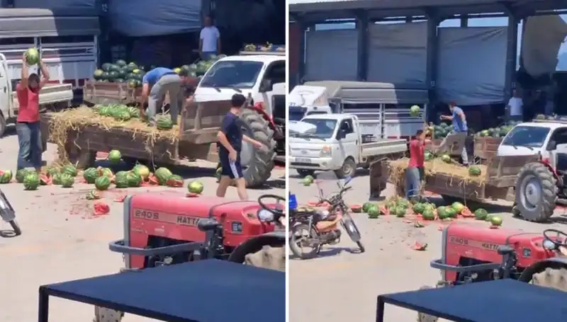 Karpuzları Yere Atıp Parçalayan Çiftçilere Geldi, Peki Şimdi Ne Olacak?