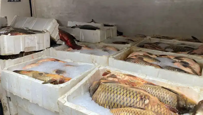 Kaçak Balık Avında Yakalananlara Binlerce Lira Ceza Şoku!