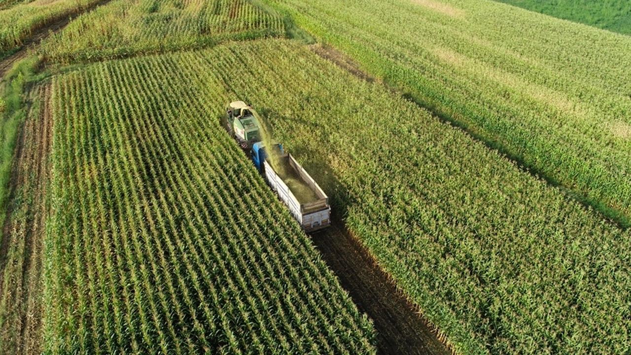 Üreticilere 2,3 Milyar Liralık Destekleme Ödemesi Yapılacak