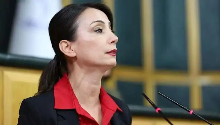 Öcalan'dan Silah Bırakma Çağrısı: DEM Partisi Siyasi Turu Başlatıyor