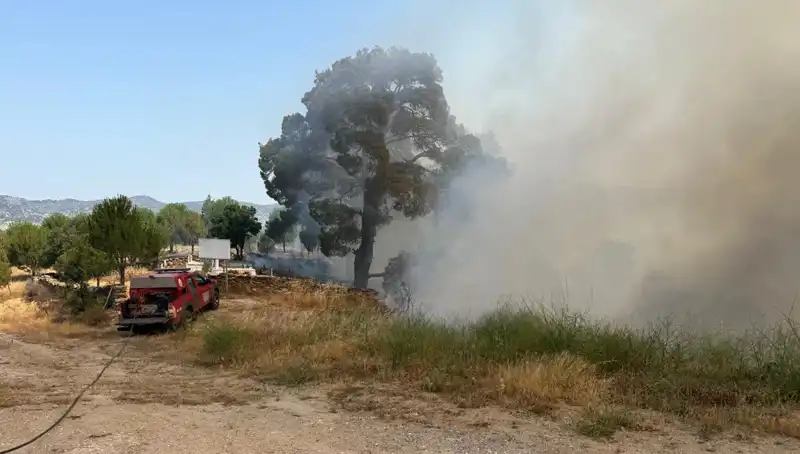 Muğla’da Yangın Kabusu: Doğa ve Hayat Tehlikede